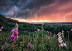 Ravensburger: Power of Nature - Stefan Hefele, Dreamy Thunder (1000)