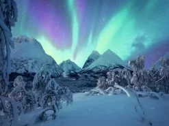 Ravensburger: Power of Nature - Stefan Hefele, The Arctic Show (1500)