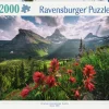 Ravensburger: Stefan Hefele - Pristine Mountains (2000)