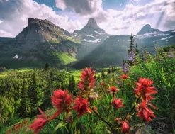 Ravensburger: Stefan Hefele - Pristine Mountains (2000)