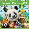 Schmidt: Animal Fun! (200)