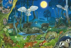 Schmidt: Animals in a Night-time Forest (100)