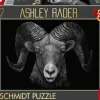 Schmidt: Ashley Rader - Dominance, Ram - The Epitome of Fire (1000)