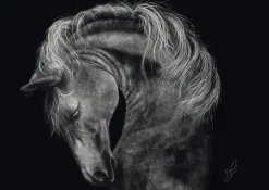 Schmidt: Ashley Rader - Power, Horse - The Epitome of Strength (1000)