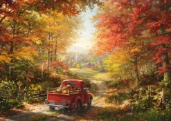 Schmidt: Blend Cota - Back Home (1000)