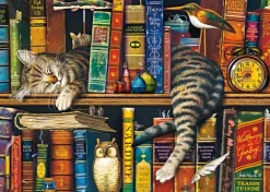 Schmidt: Charles Wysocki - Frederick the Literate (1000)