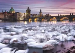 Schmidt: Christian Ringer, Prague - Swans (1000)