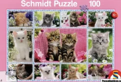 Schmidt: Kittens (100)