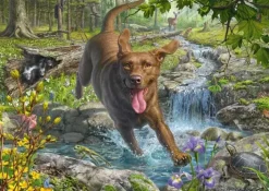 Schmidt: Mark Fredrickson - Springtime Cavorting with a Labrador Retriever (1000)