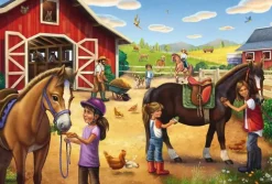 Schmidt: My Favourite Horses (3 x 48)