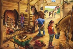 Schmidt: My Favourite Horses (3 x 48)