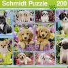 Schmidt: Puppies (200)