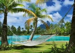 Schmidt: Time Out (1000)