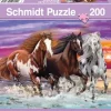 Schmidt: Trio of Wild Horses (200)