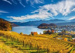 Schmidt: Vineyards (2000)