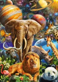 Schmidt: Wonderful Universe (1000)