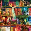 SunsOut: Aimee Stewart - Treasure Hunt Bookshelf (1000)