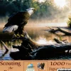 SunsOut: Scouting the River (1000)