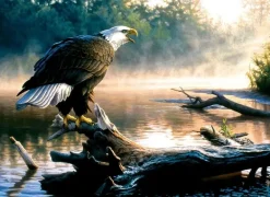 SunsOut: Scouting the River (1000)