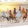 Tactic: Wild Horses (1000)