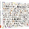 Trefl: 208 Cats (1000)