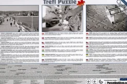 Trefl: Afternoon Idyll (4000)