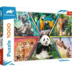 Trefl: Animal Kingdom (1000)