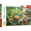Trefl: Dinosaur Migration (60)