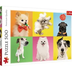Trefl: Dogs (500)
