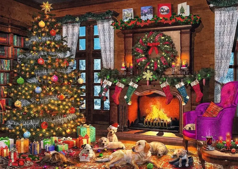 Trefl: Dominic Davison - Christmas is Coming (1000)