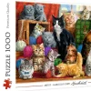 Trefl: Feline Meeting (1000)