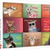 Trefl: Funny Cats Faces (1500)