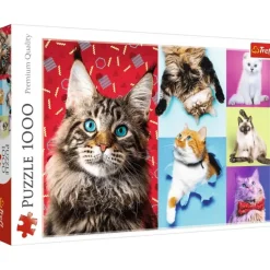 Trefl: Happy Cats (1000)