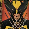 Trefl: Marvel - X-Men, Wolverine (1000)