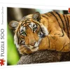 Trefl: Tiger Portrait (500)