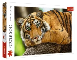 Trefl: Tiger Portrait (500)