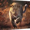Trefl: Wild Leopard (1000)
