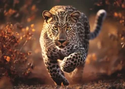 Trefl: Wild Leopard (1000)