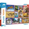 Trefl: Wild Nature (1000)