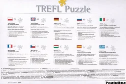 Trefl: Wintry Neuschwanstein Castle, Germany (3000)