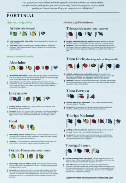 Water & Wines: Portugal - Wine Puzzle (1000)