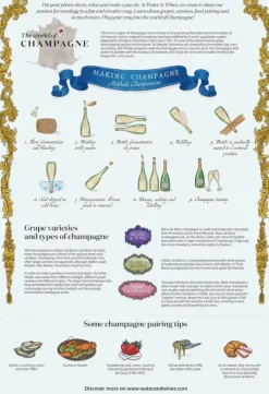Water & Wines: The World of Champagne Puzzle (1000)