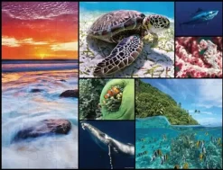 WWF Puzzle: Golvpussel - Oceans (48)